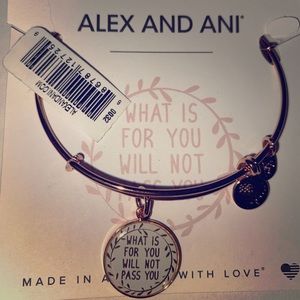 New Alex and Ani bracelet